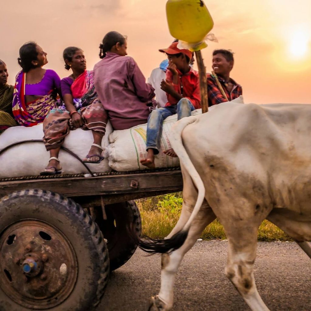 charityandhope.org | How to Overcome the Cost of Living Crisis in africa
